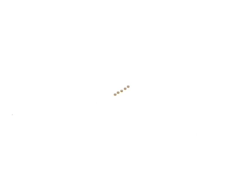 BOSCH F00ZC99750 Repair Kit, common rail system