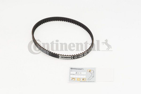 BELTPIC_CT1169.JPG