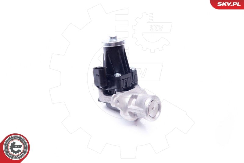 ESEN SKV 14SKV159 EGR Valve