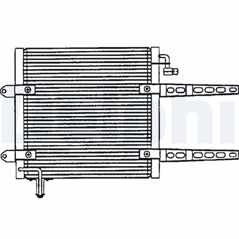 TSP0225205.JPG
