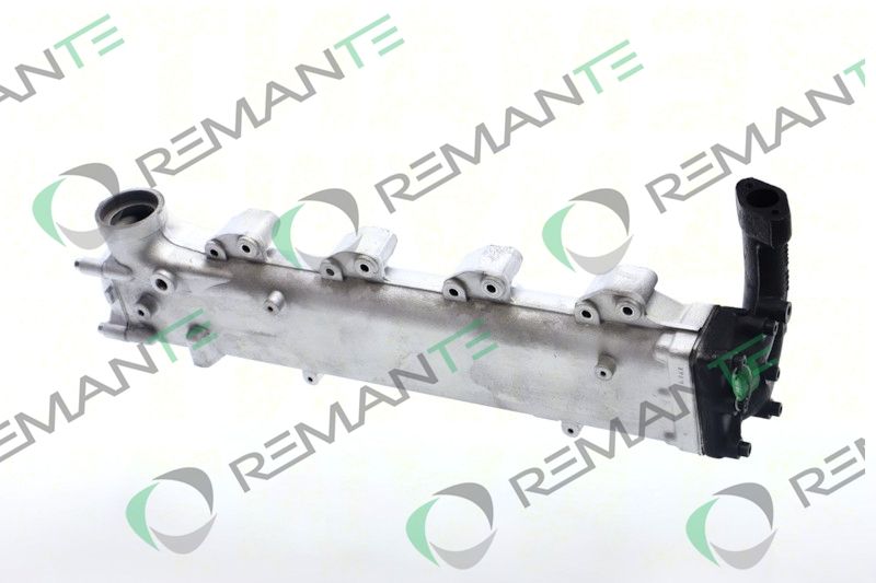 REMANTE 010-001-000004R EGR Module