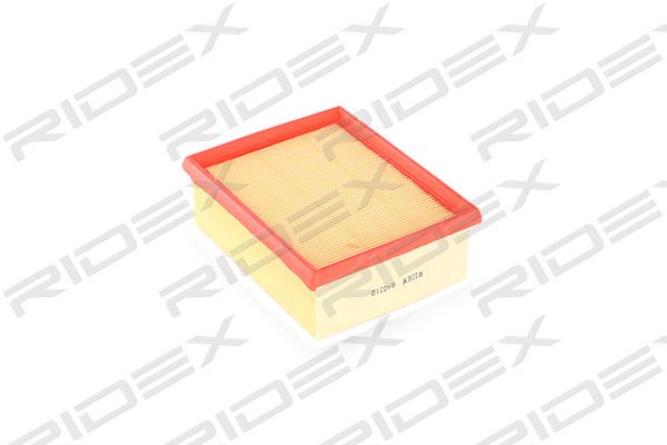 8055114_247.JPG