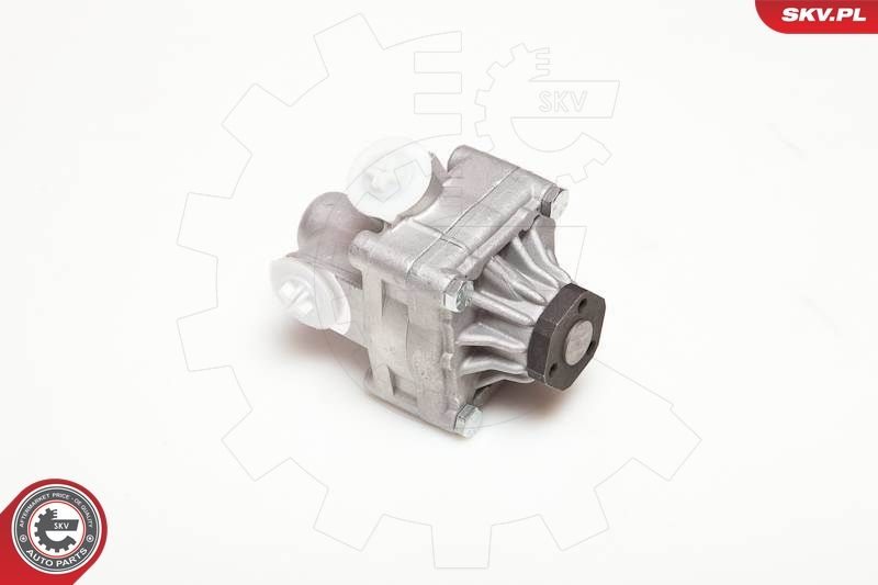 ESEN SKV 10SKV017 Hydraulic Pump, steering