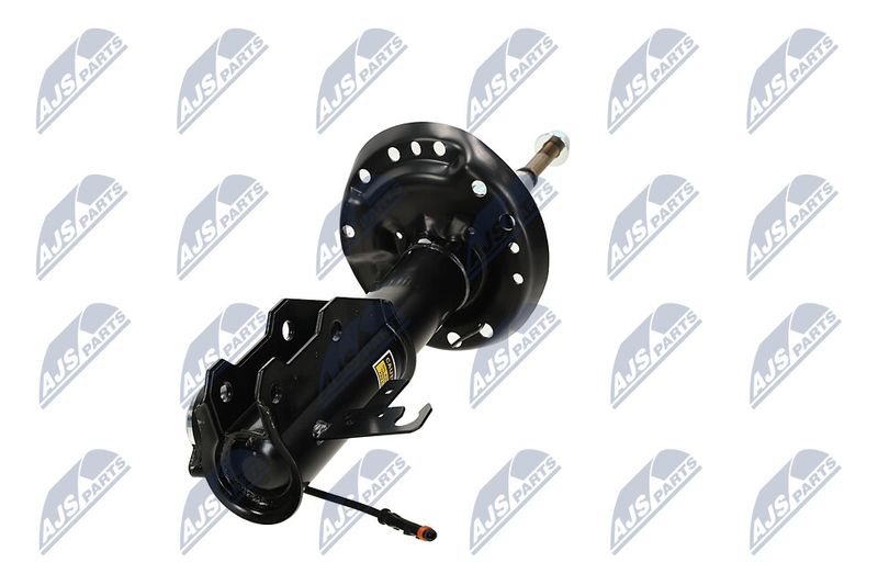 Amort, NTY A-PL-062
