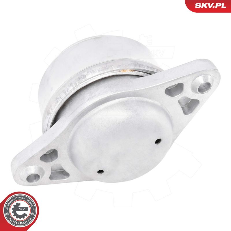 Paigutus, Mootor, ESEN SKV 75SKV323