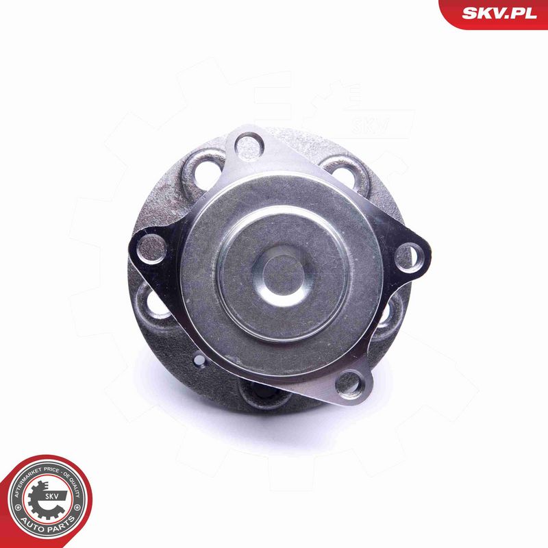 ESEN SKV 29SKV235 Wheel Bearing Kit