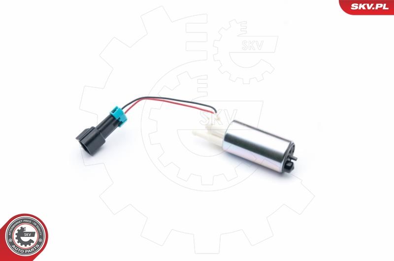 SKV_02SKV306_WM_04.JPG