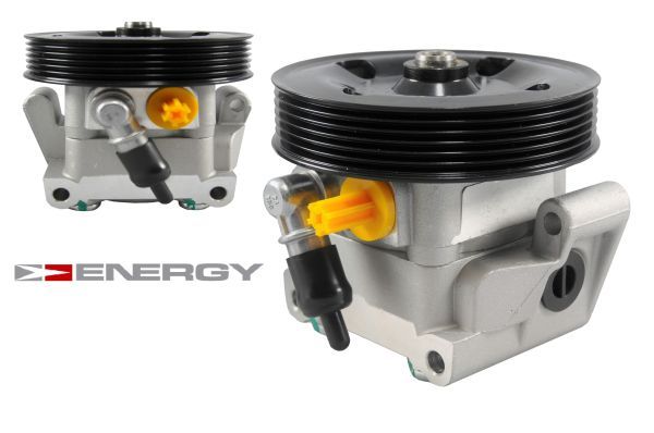 ENERGY PW690112-1 Hydraulic Pump, steering