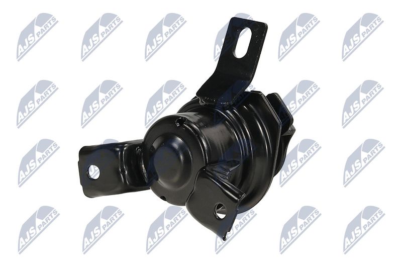 Paigutus, Mootor, NTY ZPS-MS-069