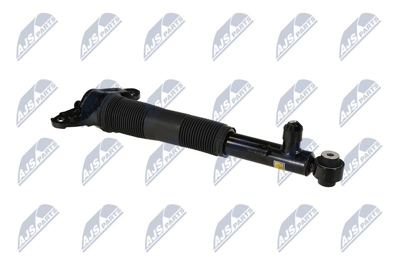 Amort, NTY A-LR-037