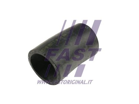 FT61166_2_1.JPG