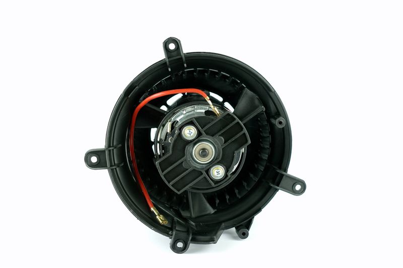 Salongipuhur, NISSENS 87152