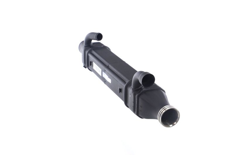 REMANTE 010-001-000022R EGR Module