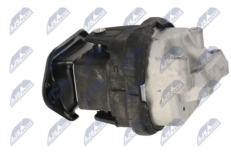 Paigutus, Mootor, NTY ZPS-CH-116