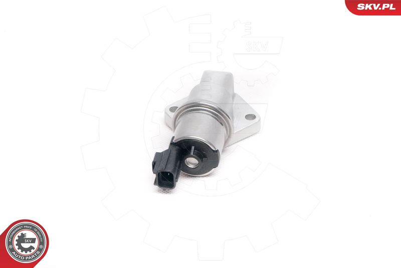ESEN SKV 08SKV217 Idle Control Valve, air supply