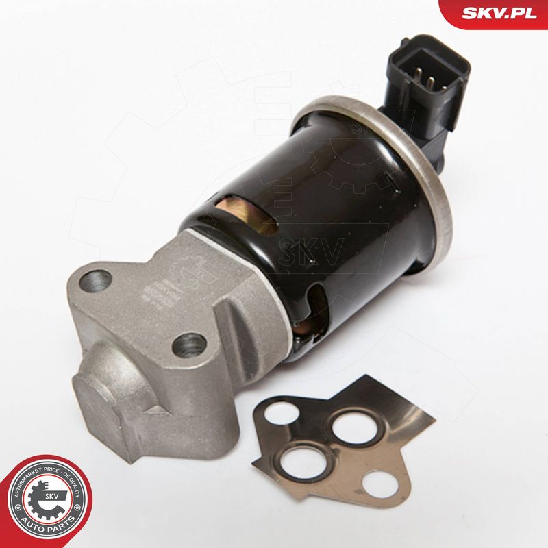 ESEN SKV 14SKV059 - EGR Valve