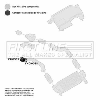 FTH1553_1101680.JPG