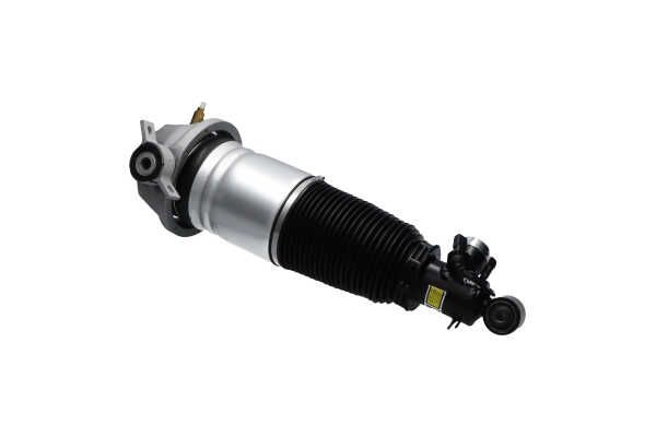 Kavo Parts SAS-10047 Air Suspension Strut