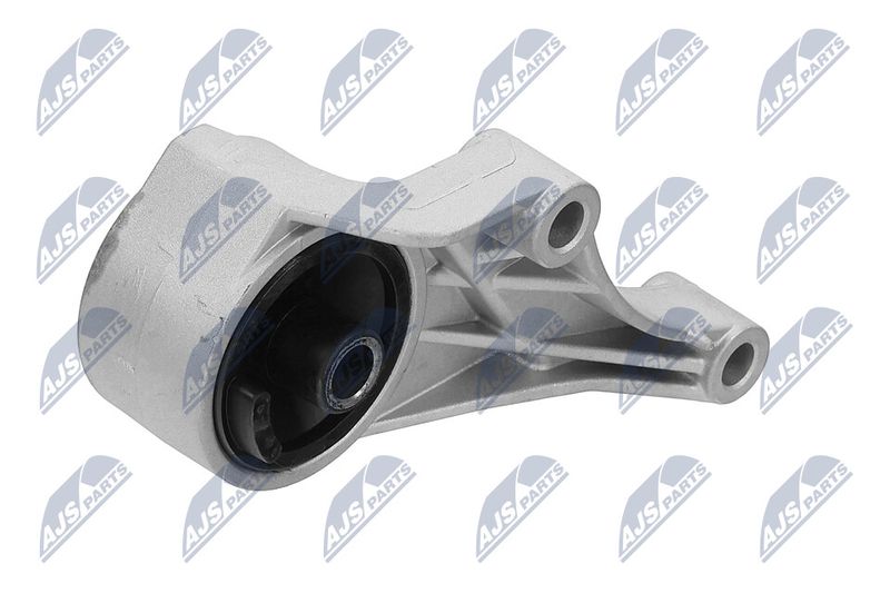 Paigutus, Mootor, NTY ZPS-PL-007