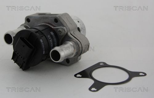AGR-Ventil 8813 23031