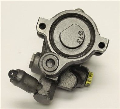 Henkel Parts 9113888 Hydraulic Pump, steering