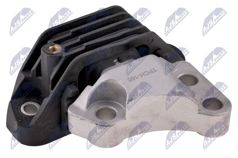 Paigutus, Mootor, NTY ZPS-CH-165