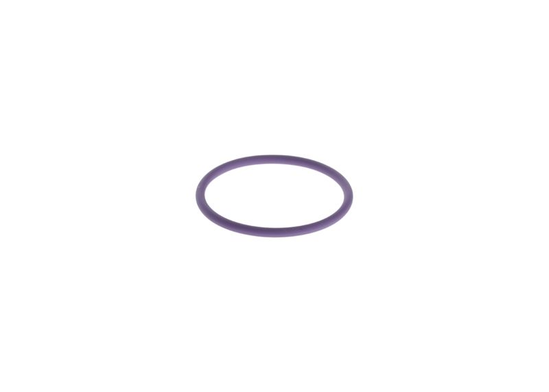 BOSCH F 00H N35 738 Rubber Ring