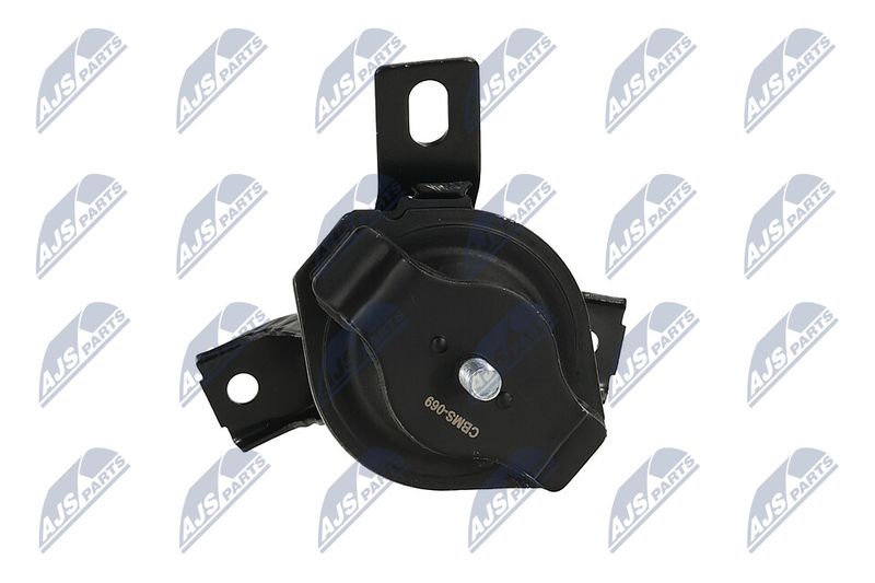 Paigutus, Mootor, NTY ZPS-MS-069