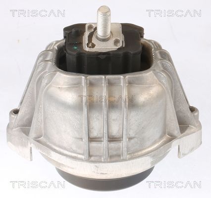TRISCAN felfüggesztés, motor 8505 11104