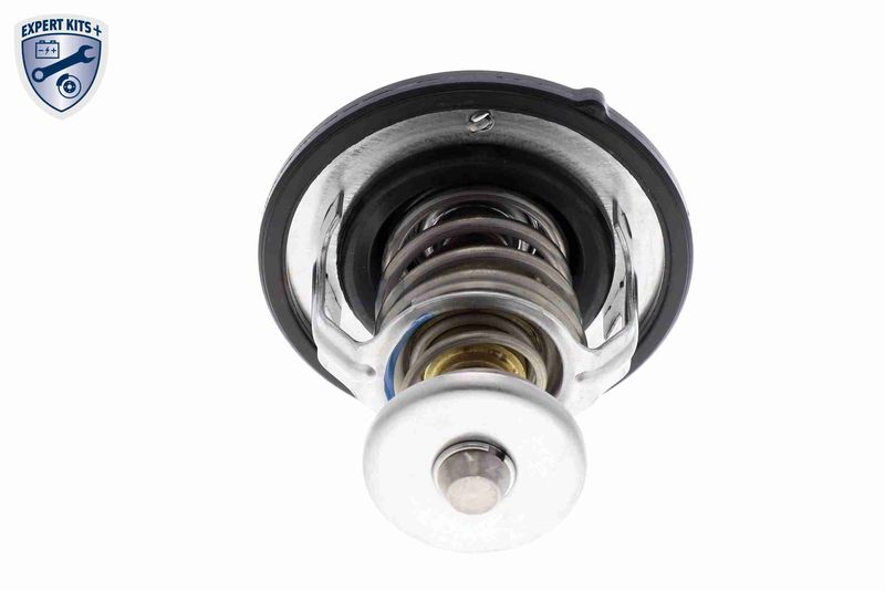 ACKOJA A52-99-0019 Thermostat, coolant