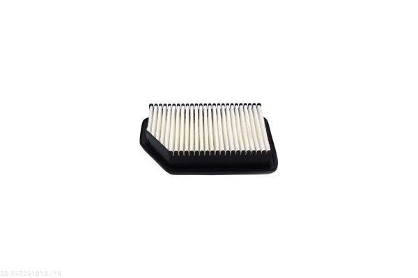 AUTOMEGA 250051910 Air Filter