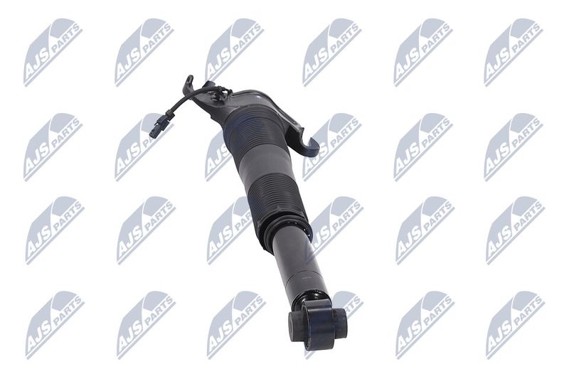 Amort, NTY A-LR-022