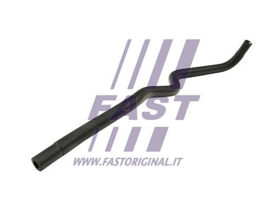 FT61196_1_1.JPG