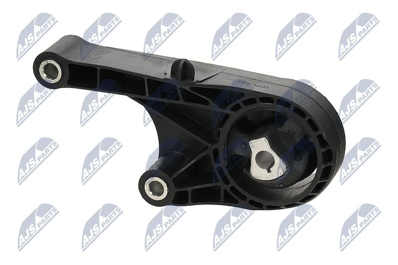 Paigutus, Mootor, NTY ZPS-PL-020