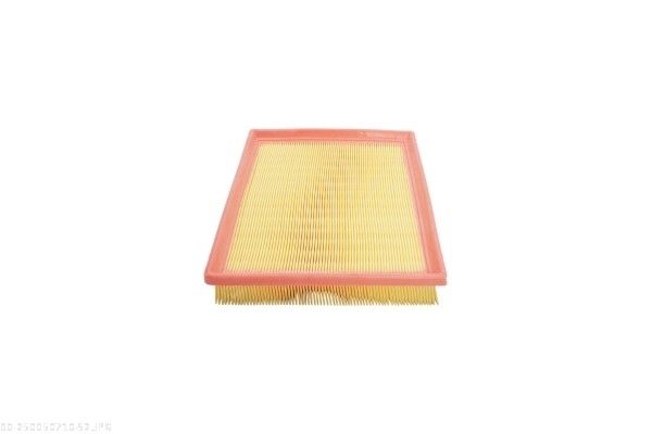 AUTOMEGA 250050710 Air Filter
