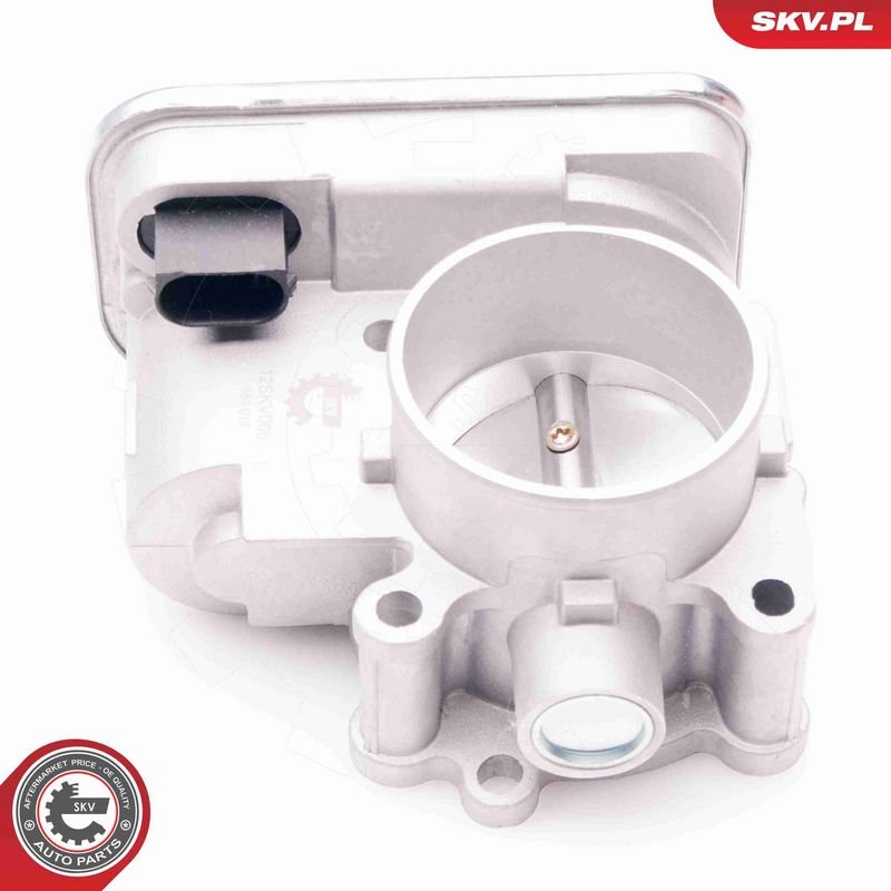 ESEN SKV 12SKV066 Throttle Body