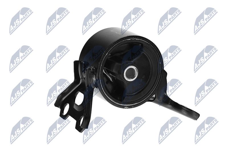 Paigutus, Mootor, NTY ZPS-CH-179