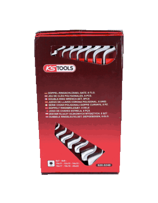 KS TOOLS 920.0248 Double Ring Spanner Set