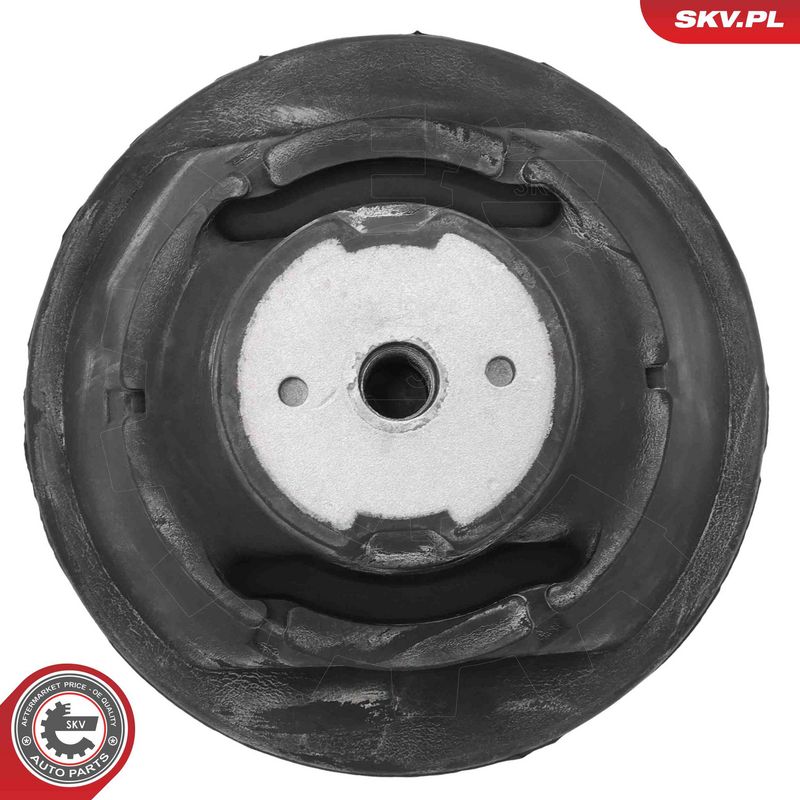 Paigutus, Mootor, ESEN SKV 75SKV003