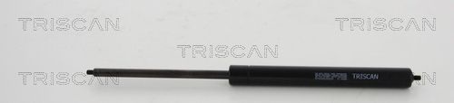 TRIS87101022352500.JPG