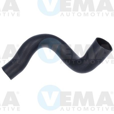 VE55808.JPG