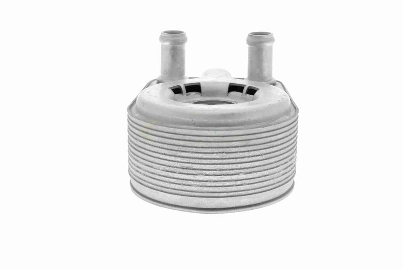 VEMO V25-60-0043 Oil Cooler, engine oil