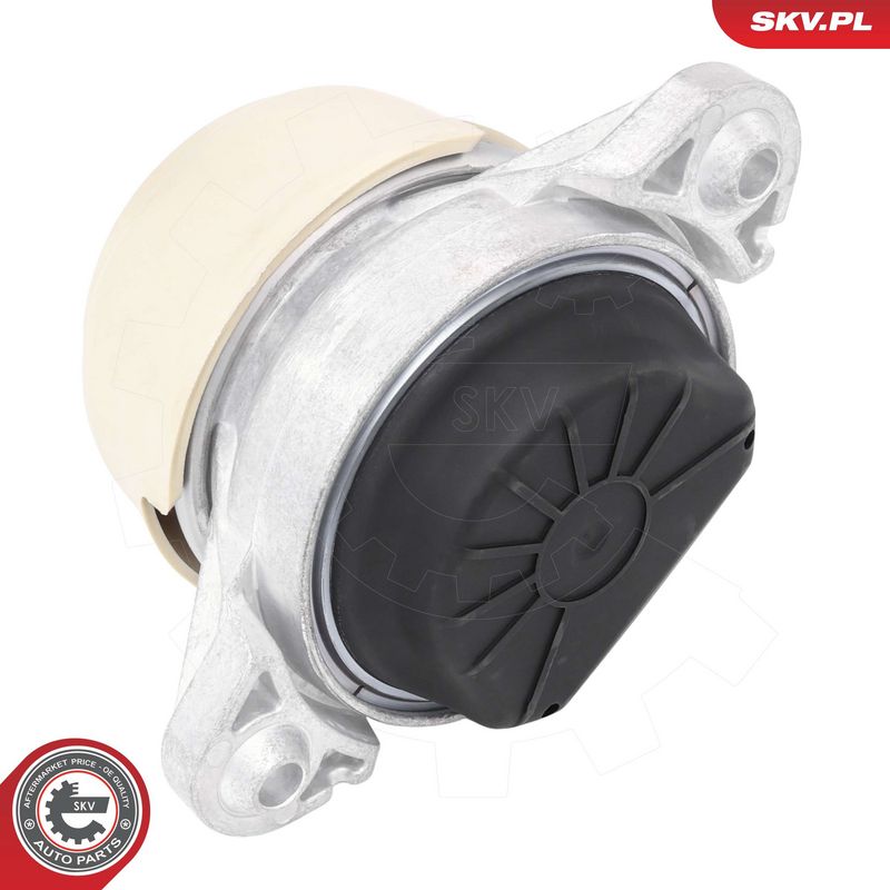 Paigutus, Mootor, ESEN SKV...