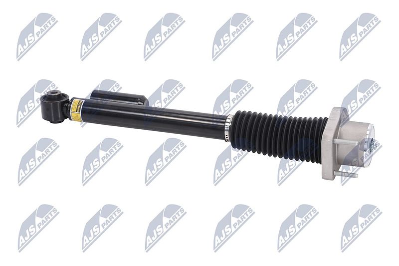 Amort, NTY A-LR-019