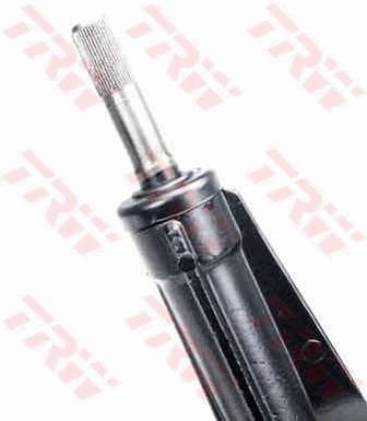 0161JRM194_1.JPG