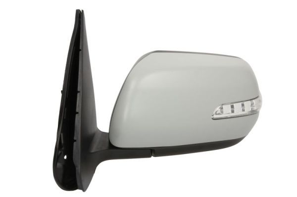BLIC 5402-18-2002413P Exterior Mirror
