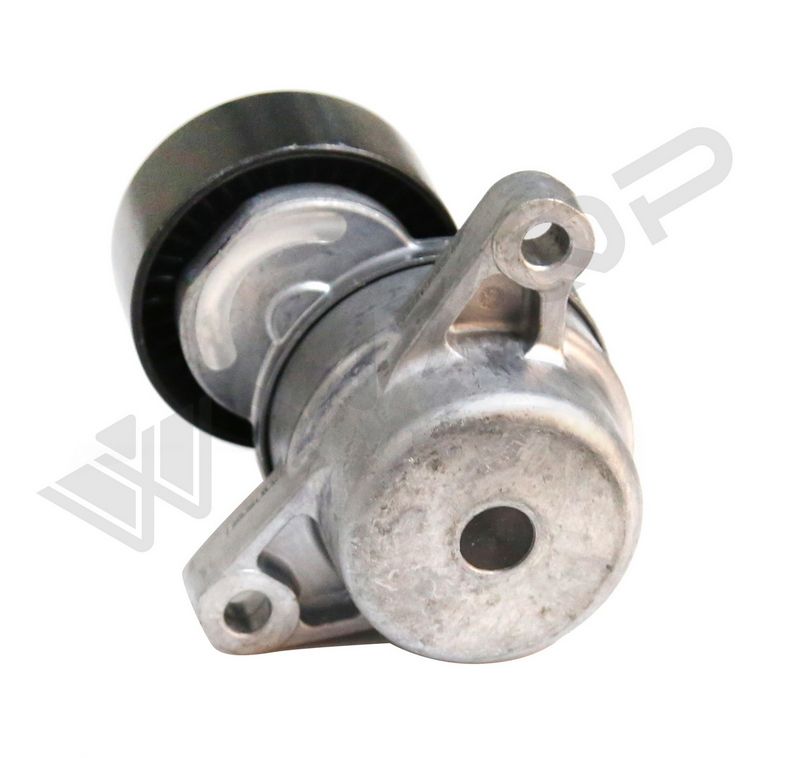WXQP 111781 Belt Tensioner, V-ribbed belt