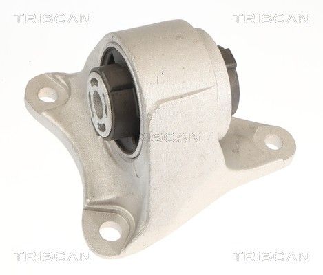 окачване, двигател TRISCAN