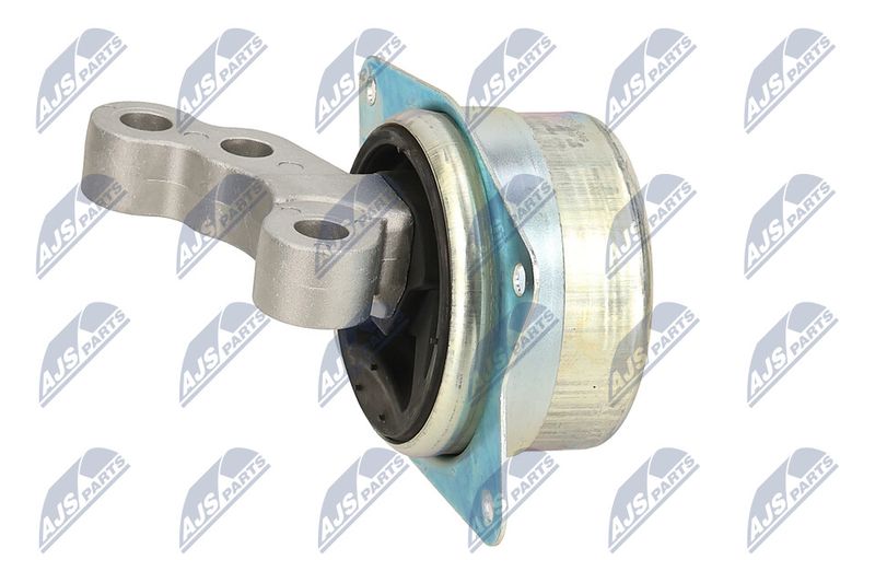 Paigutus, Mootor, NTY ZPS-PL-049