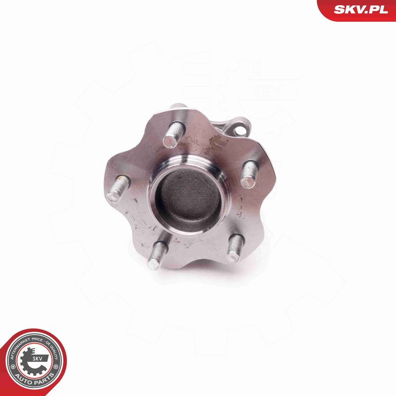 ESEN SKV 29SKV031 Wheel Bearing Kit